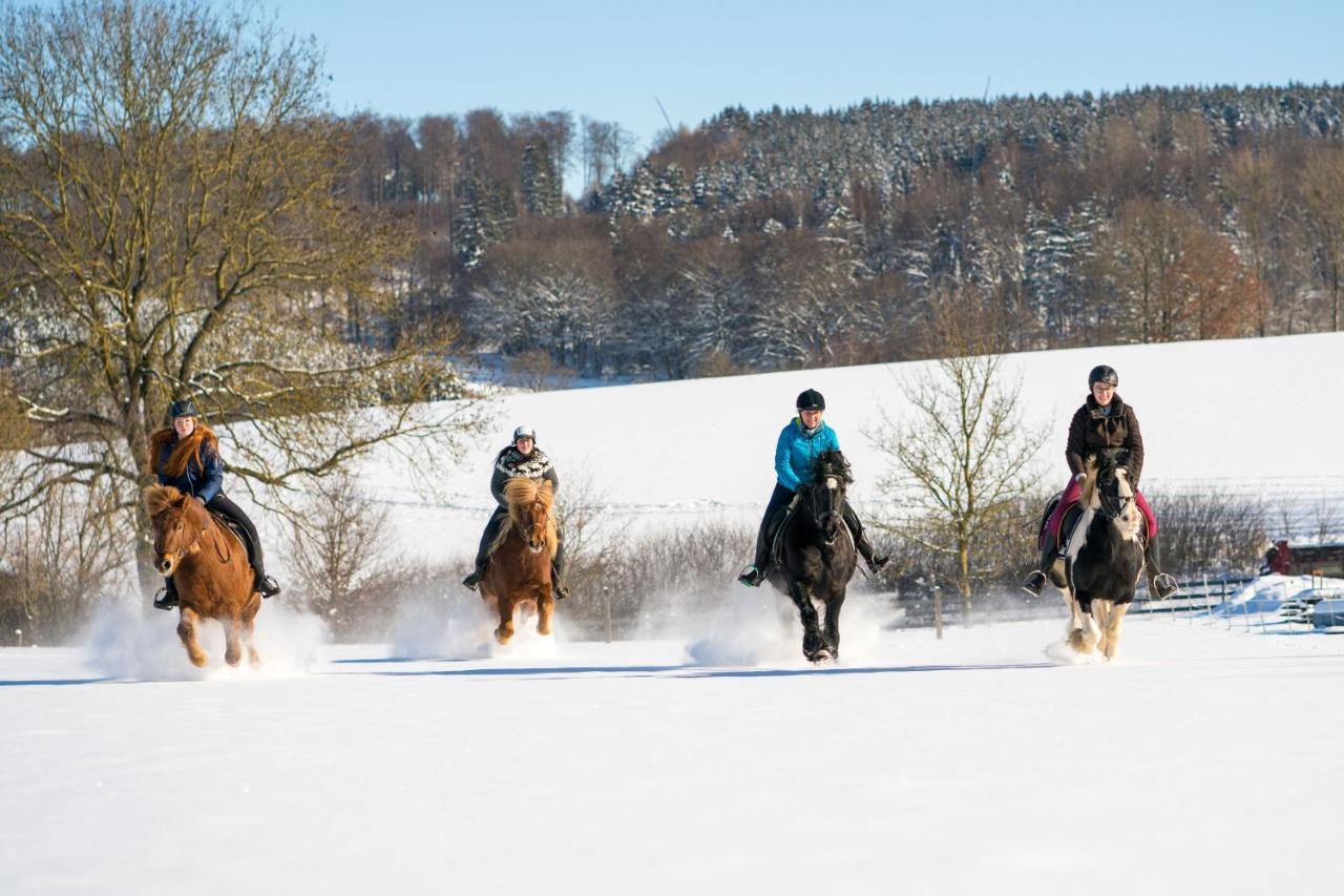 Ferienhof Homann Sauerland بريلون المظهر الخارجي الصورة