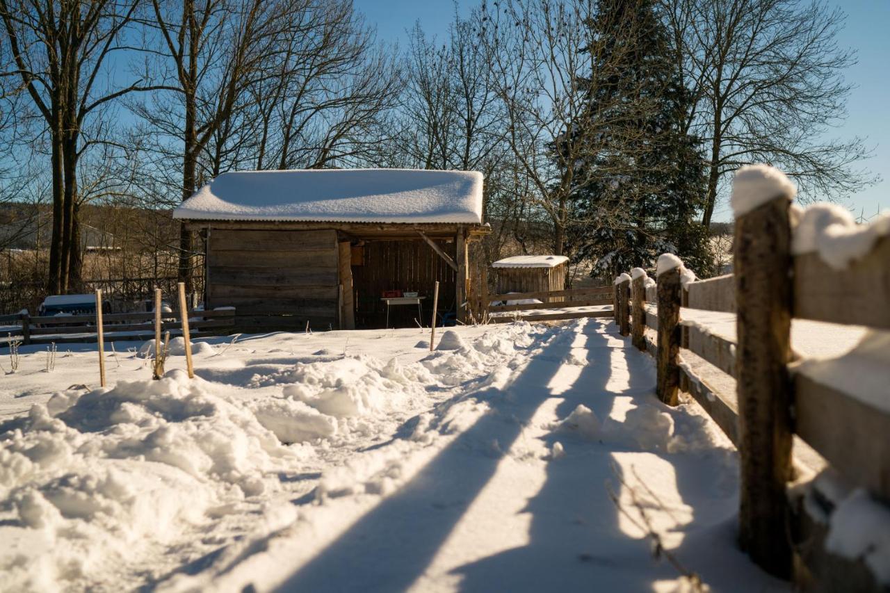 Ferienhof Homann Sauerland بريلون المظهر الخارجي الصورة
