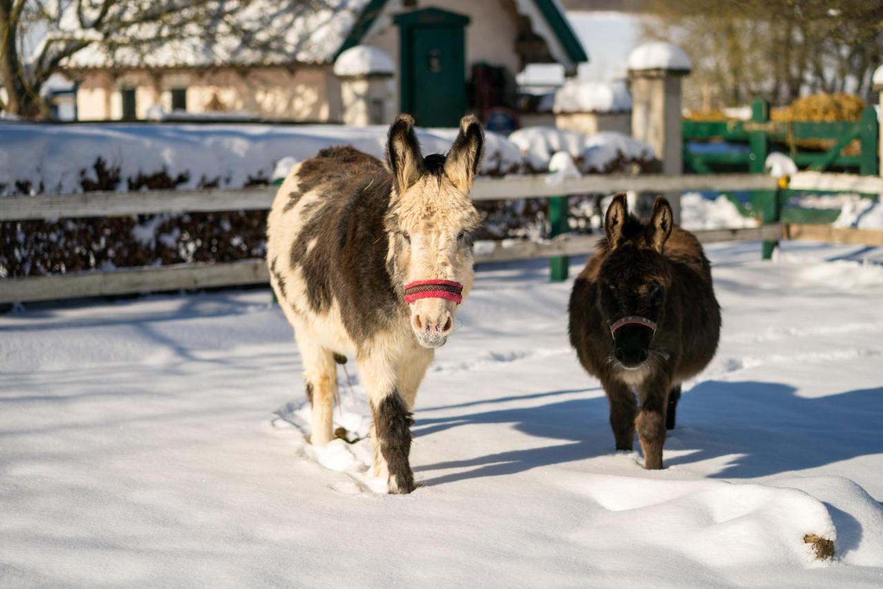 Ferienhof Homann Sauerland بريلون المظهر الخارجي الصورة